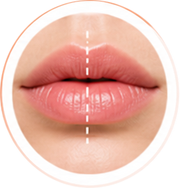 Face 3