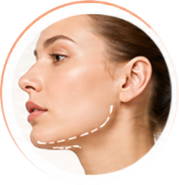 Face 4